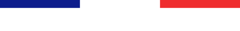 made-in-france-white French flag