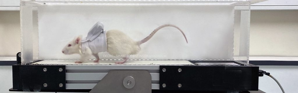mat rat decro test effort mat rat decro test effort