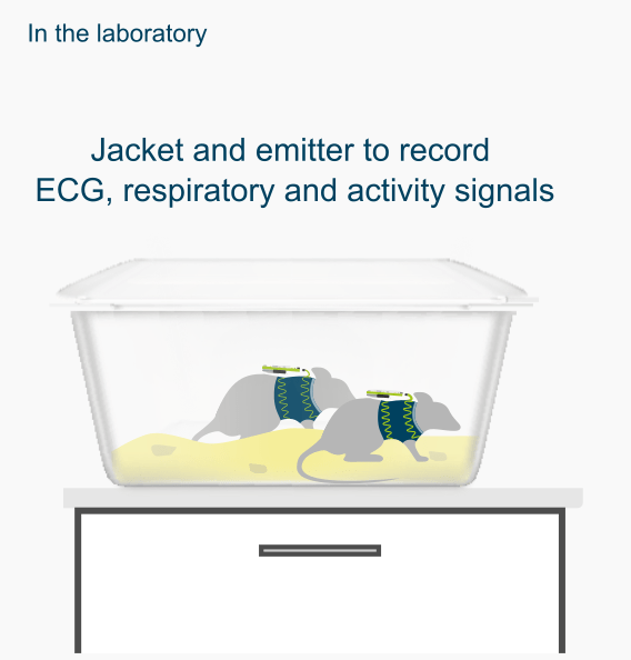 DECRO solution Jacket Emitter ECG Respiratory Activity Monitoring