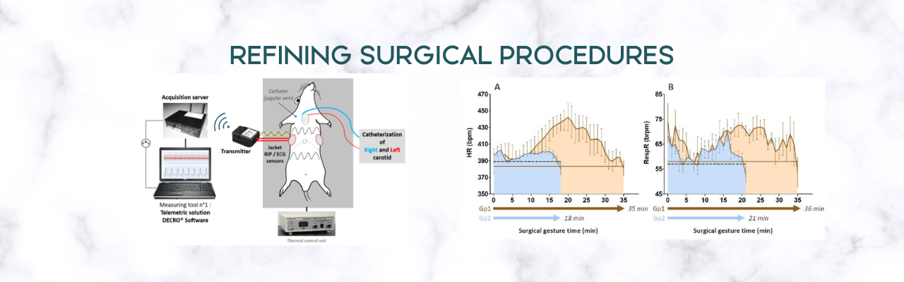 How to Refine the Implementation of Surgical Protocols: the Case of Non-Invasive Cardiorespiratory Monitoring in Rat