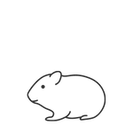 Hamster