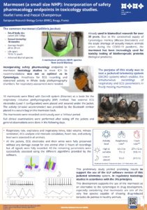 Poster Marmoset SPS23