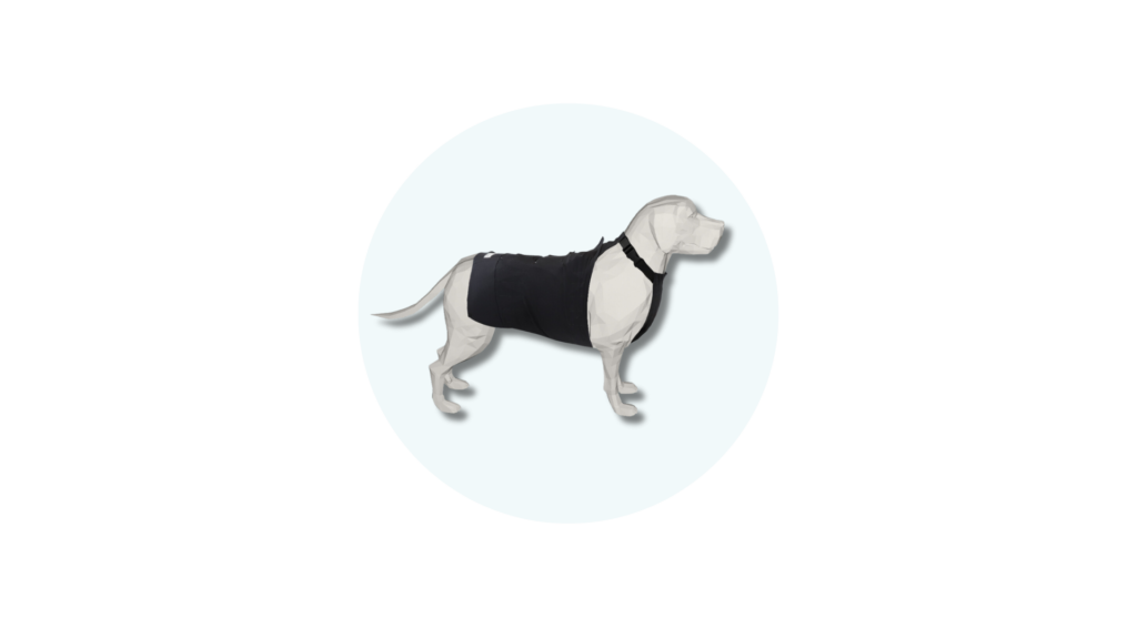dog wearing the decro telemetry jacket