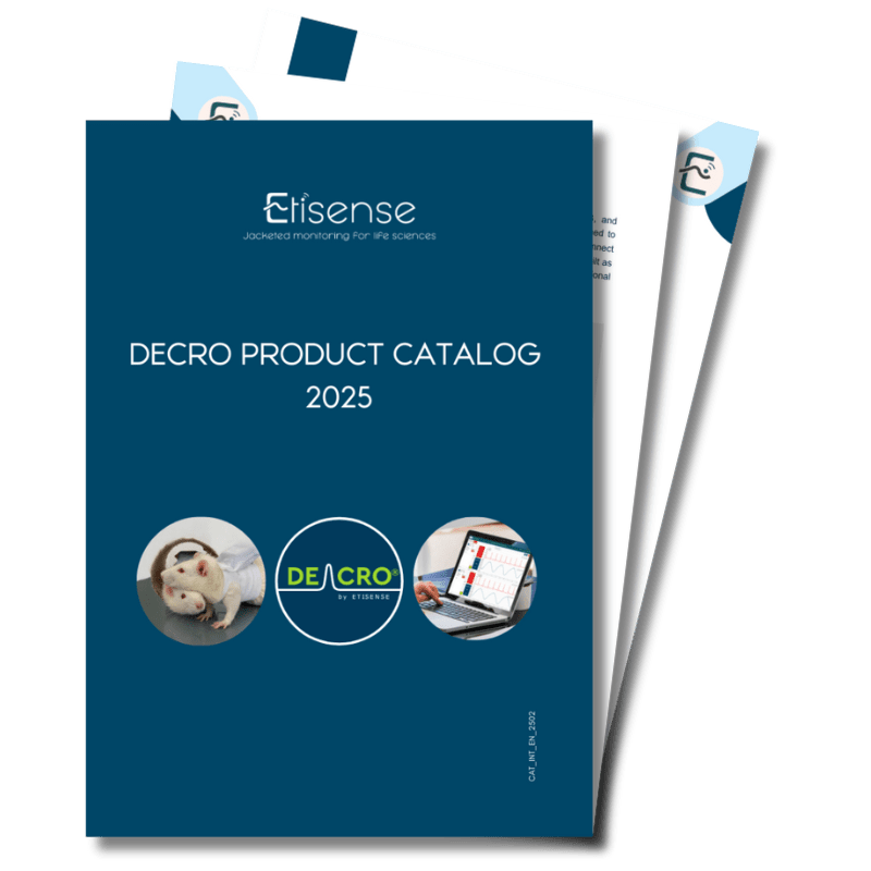 Catalog_view2025