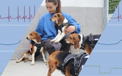 A New Telemetry Jacket for Dogs