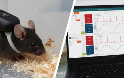 Surgical-free ECG Monitoring in Mice: Feasibility of a Telemetry Harness
