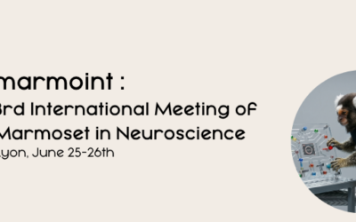 The Future of Marmoset Research in Neuroscience: Meet Etisense at the 3rd International Marmoset Congress