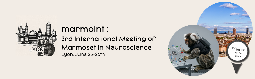 3rd marmosets international conference